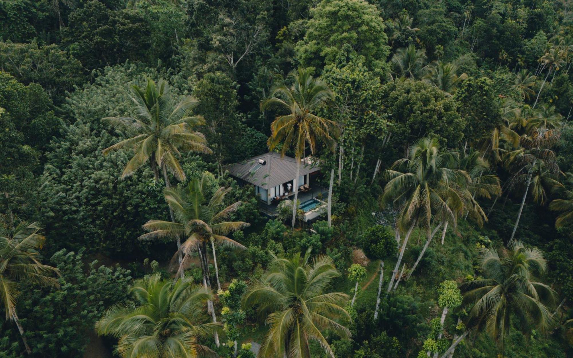 Aarunya Nature Resort - Kandy Ngoại thất bức ảnh